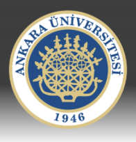 ANKARA ÜNİVERSİTESİ