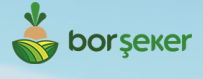 BOR ŞEKER